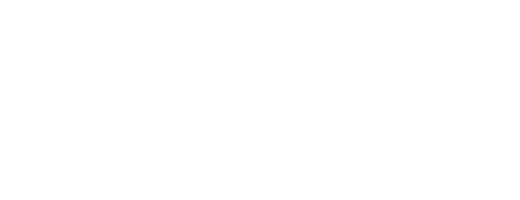 Volt
